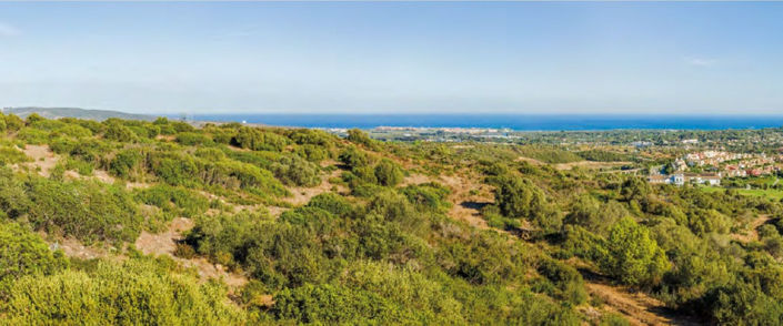 Image No.7-Propriété de 6 chambres à vendre à Sotogrande playa