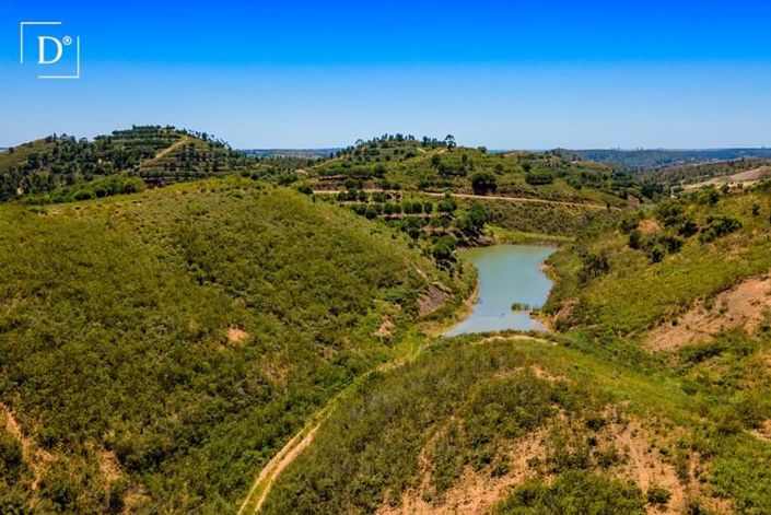 Image No.10-3 Bed Villa for sale