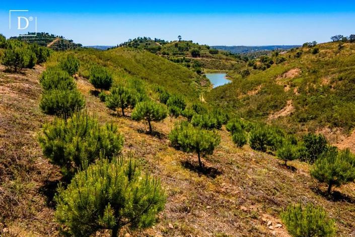 Image No.12-3 Bed Villa for sale