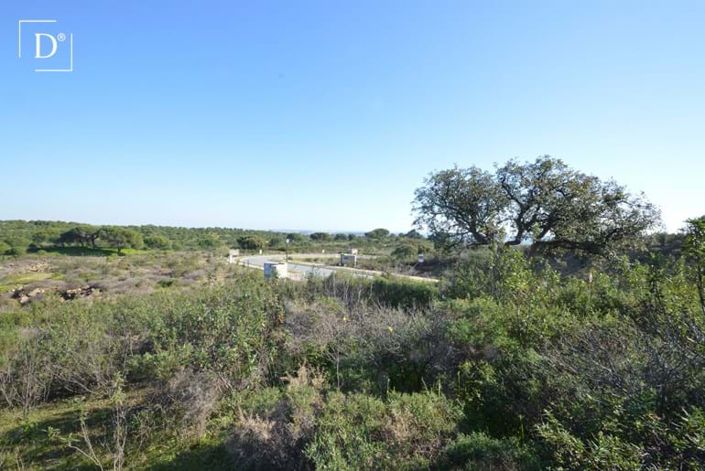 Image No.3-Land for sale