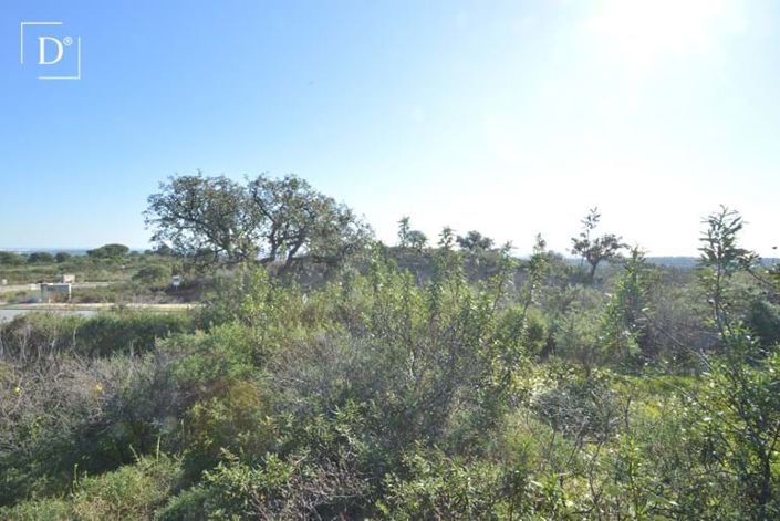 Image No.8-Land for sale