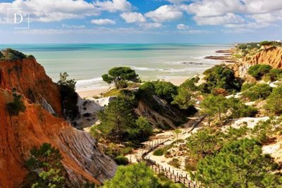 1-11059-a6143ebb3cb0547d86cbab874af8e5c603a53