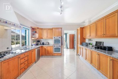 1-11521-a6143ebb3cb0547d86cbab874af8e5c603a53