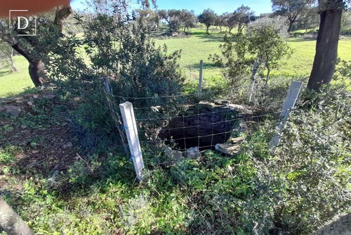 Image No.9-3 Bed Villa for sale