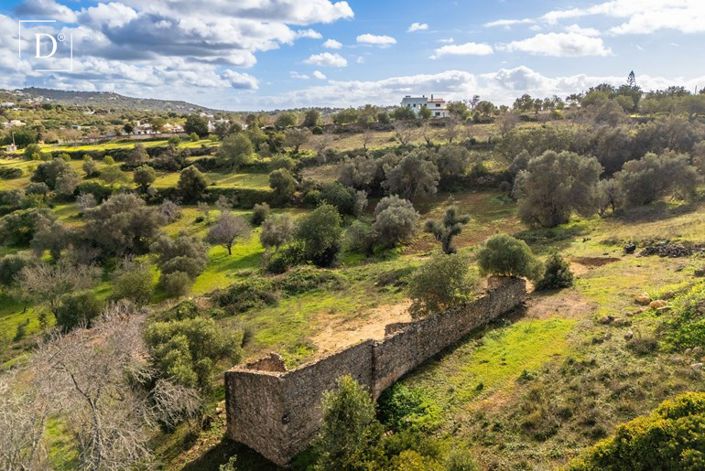 Image No.8-3 Bed Land for sale