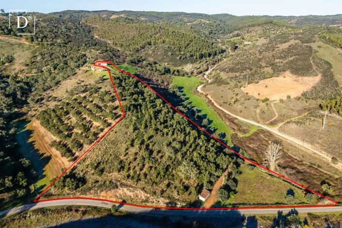 Image No.5-Villa à vendre à Odemira