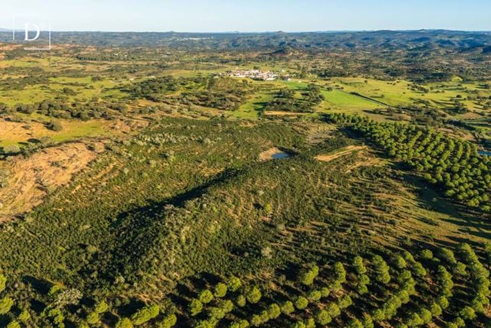 Image No.2-Land for sale