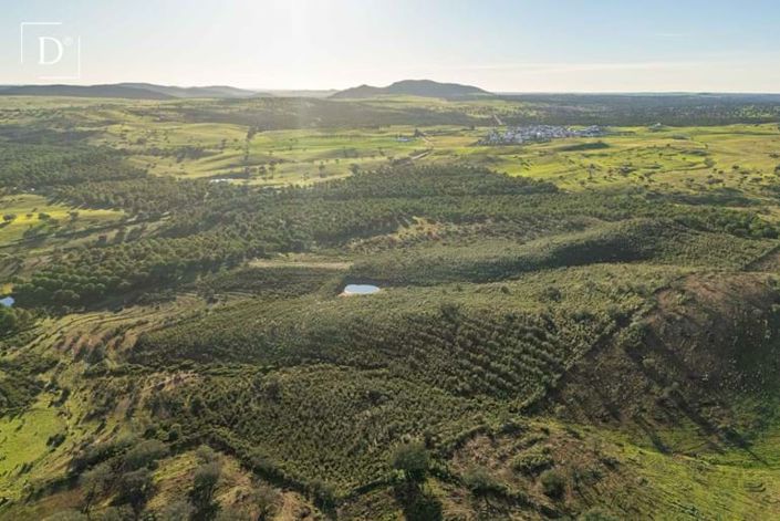 Image No.4-Land for sale