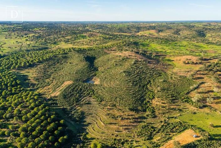 Image No.5-Land for sale