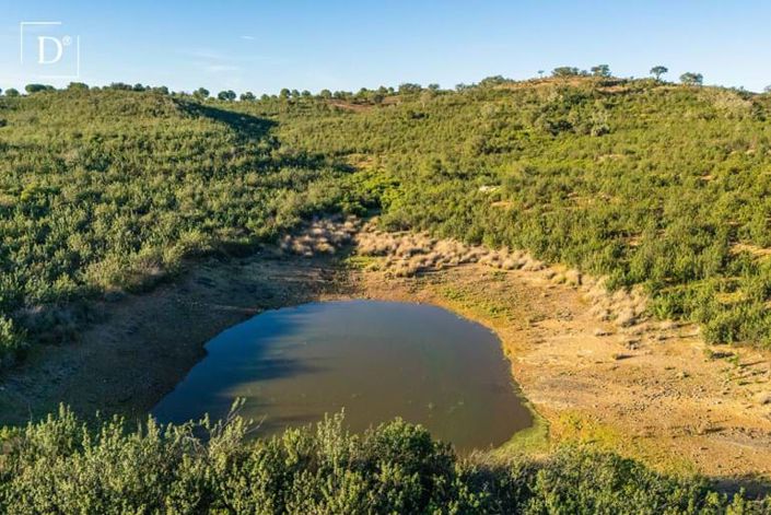 Image No.6-Land for sale