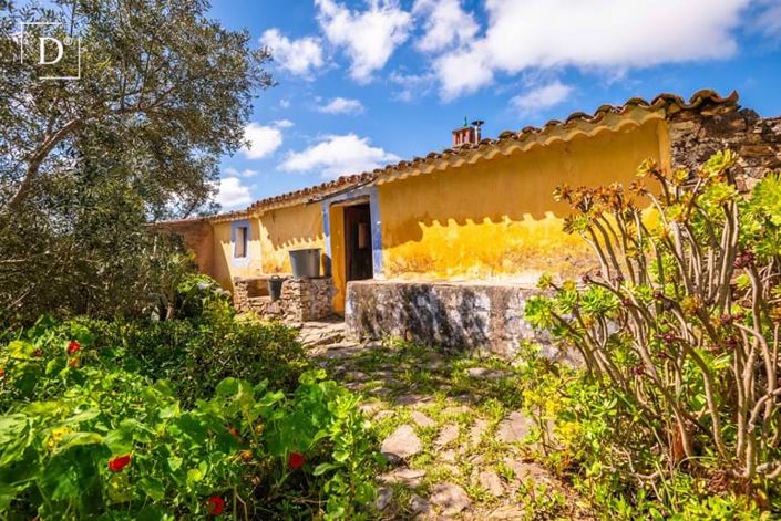Image No.1-Villa for sale