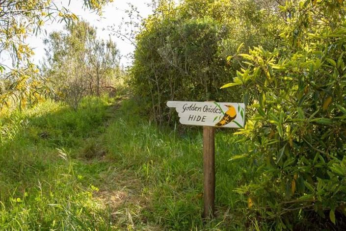 Image No.11-Propriété de 16 chambres à vendre à Odemira