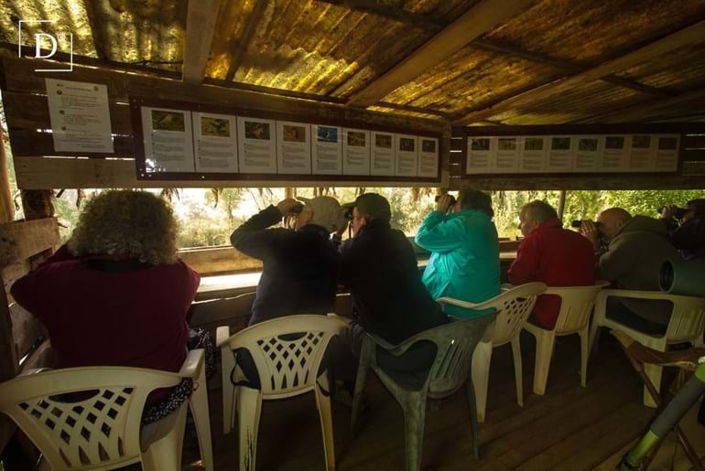 Image No.12-Propriété de 16 chambres à vendre à Odemira