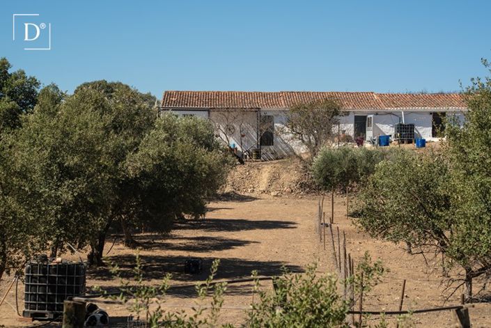 Image No.1-2 Bed Villa for sale