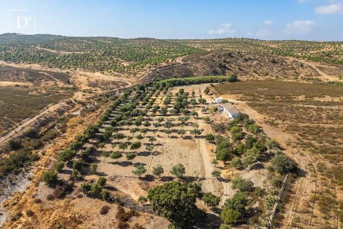 Image No.14-2 Bed Villa for sale