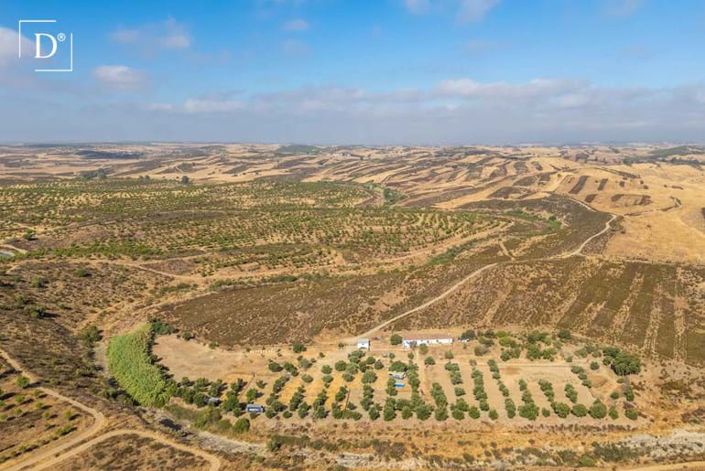 Image No.17-2 Bed Villa for sale