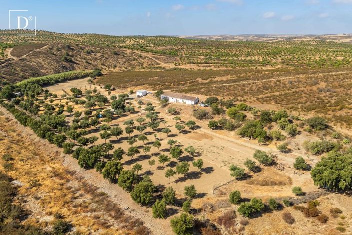 Image No.3-2 Bed Villa for sale