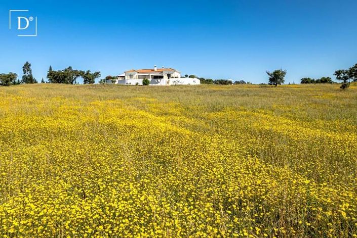 Image No.27-4 Bed Villa for sale