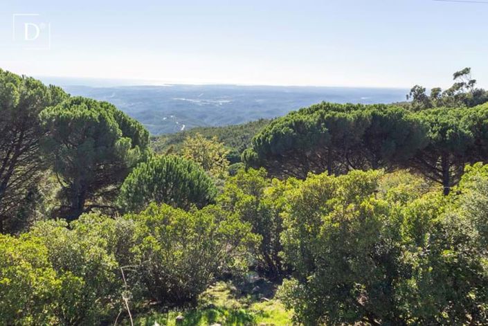 Image No.21-4 Bed Villa for sale