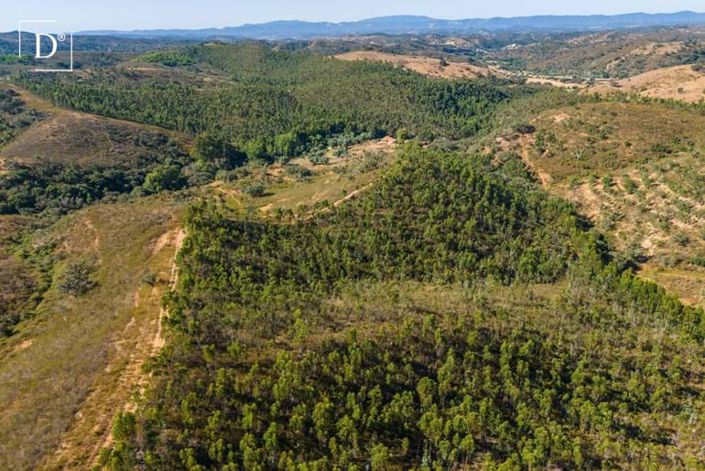 Image No.33-Villa de 4 chambres à vendre à Odemira