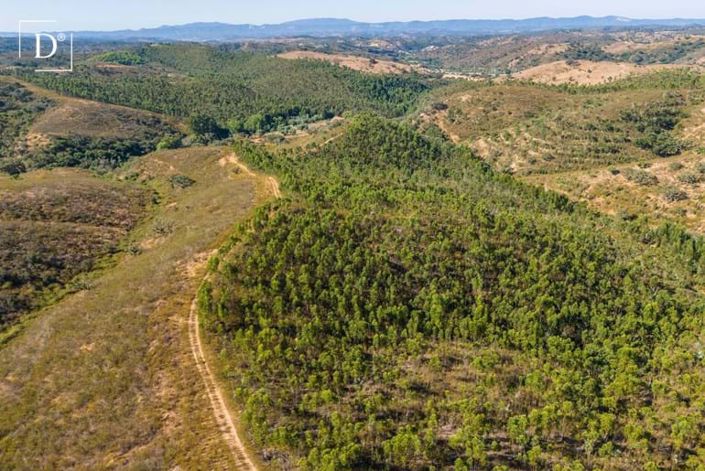 Image No.37-Villa de 4 chambres à vendre à Odemira