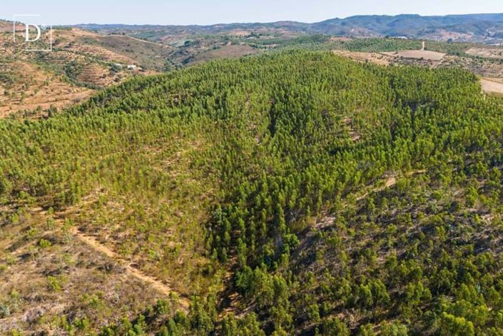 Image No.39-Villa de 4 chambres à vendre à Odemira