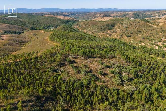 Image No.40-Villa de 4 chambres à vendre à Odemira