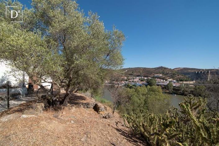 Image No.11-2 Bed Villa for sale