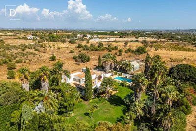 1-12305-a6143ebb3cb0547d86cbab874af8e5c603a53