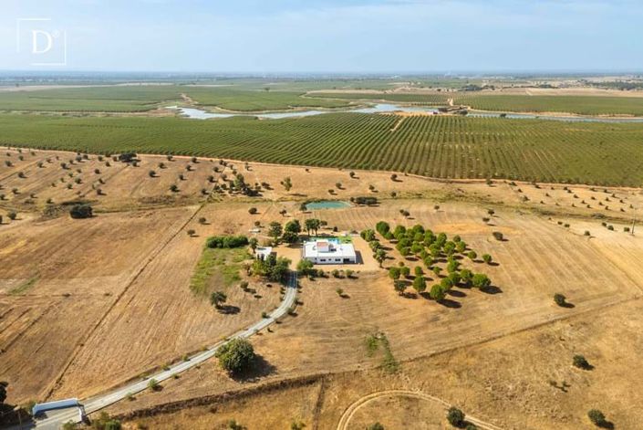 Image No.31-Villa de 6 chambres à vendre à Ferreira do Alentejo
