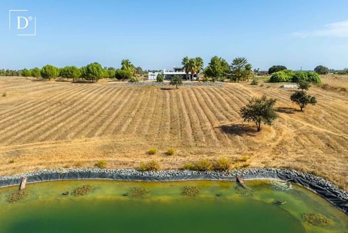 Image No.41-Villa de 6 chambres à vendre à Ferreira do Alentejo