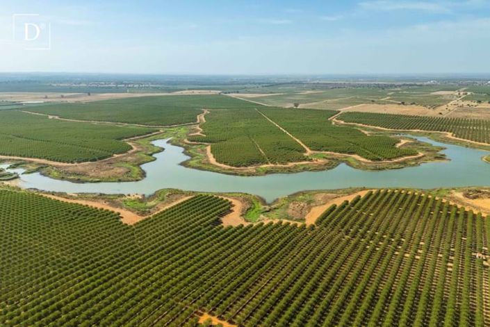Image No.42-Villa de 6 chambres à vendre à Ferreira do Alentejo