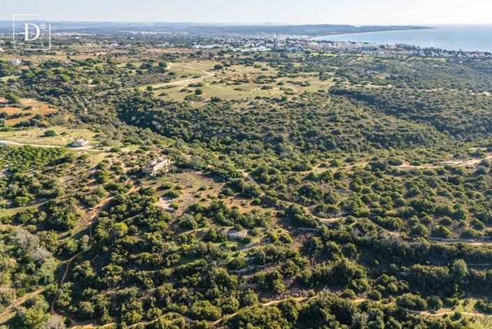 Image No.5-Land for sale