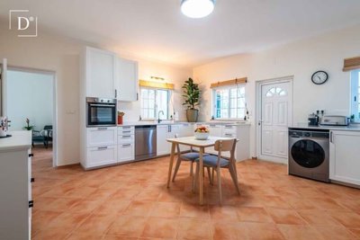 1-12392-a6143ebb3cb0547d86cbab874af8e5c603a53