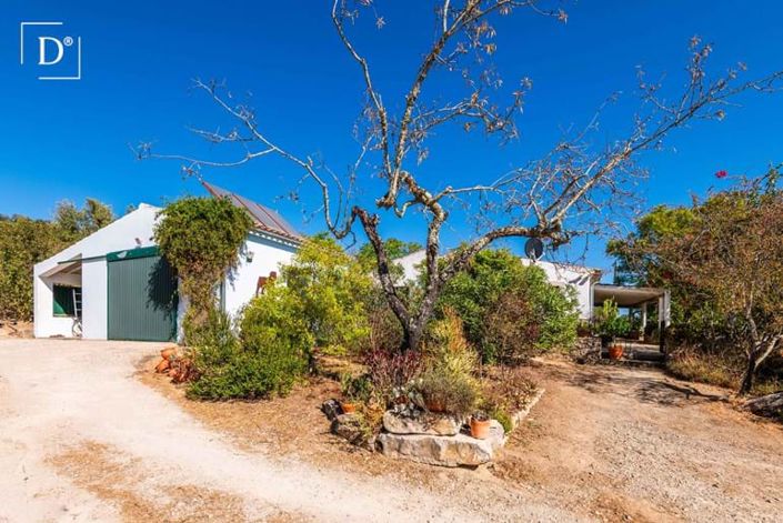 Image No.7-3 Bed Villa for sale