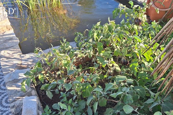 Image No.34-4 Bed Property for sale