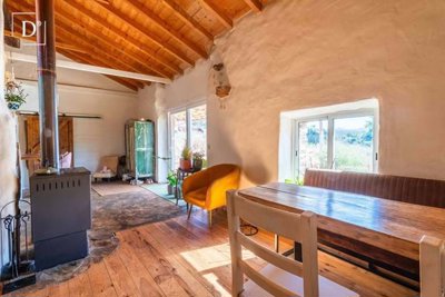 1-12449-a6143ebb3cb0547d86cbab874af8e5c603a53