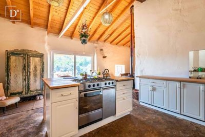 1-12449-a6143ebb3cb0547d86cbab874af8e5c603a53