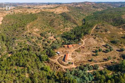 1-12449-a6143ebb3cb0547d86cbab874af8e5c603a53