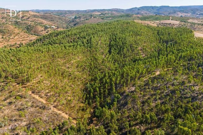 Image No.39-4 Bed Villa for sale