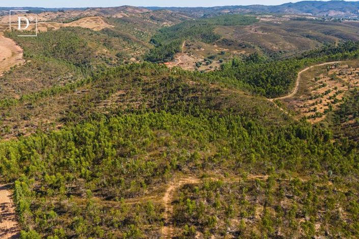 Image No.41-4 Bed Villa for sale