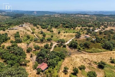 1-12451-a6143ebb3cb0547d86cbab874af8e5c603a53