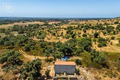 1-12451-a6143ebb3cb0547d86cbab874af8e5c603a53