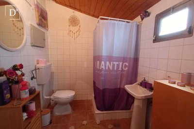 1-12446-a6143ebb3cb0547d86cbab874af8e5c603a53