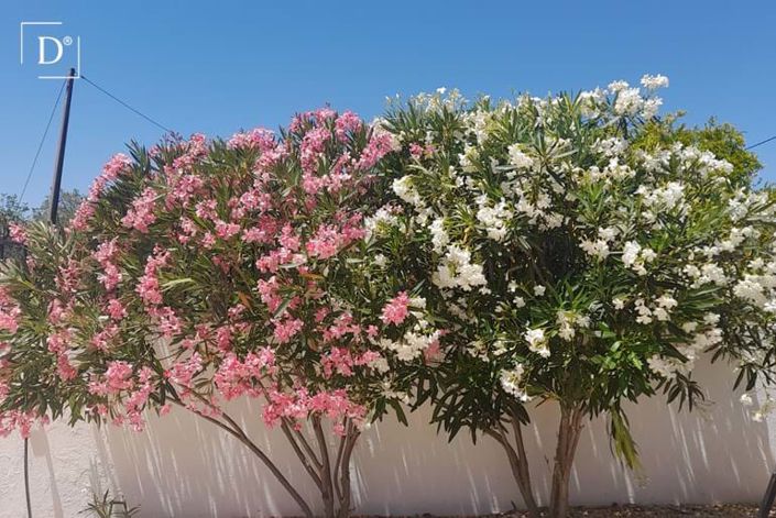 Image No.34-3 Bed Villa for sale