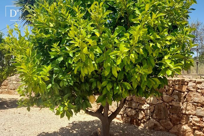 Image No.37-3 Bed Villa for sale