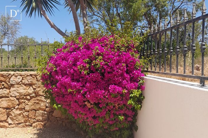 Image No.38-3 Bed Villa for sale