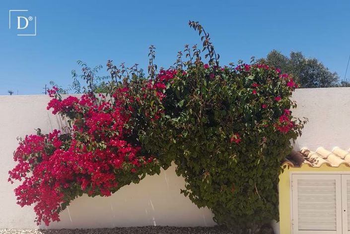 Image No.4-3 Bed Villa for sale