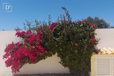 1-12464-a6143ebb3cb0547d86cbab874af8e5c603a53