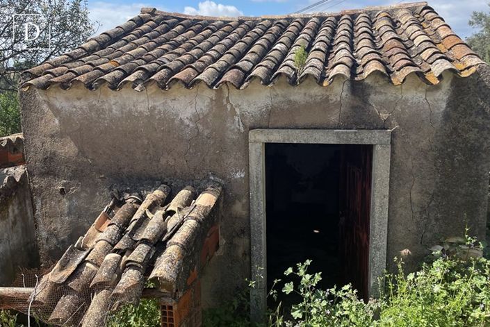 Image No.16-Land for sale